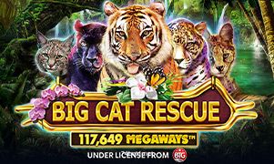 Imagem oficial do jogo Big Cat Rescue Megaways no 74bet